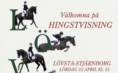 Lövsta-Stjärnborg bjuder in till Hingstvisning