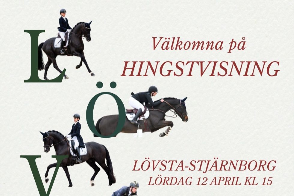 Lövsta-Stjärnborg bjuder in till Hingstvisning