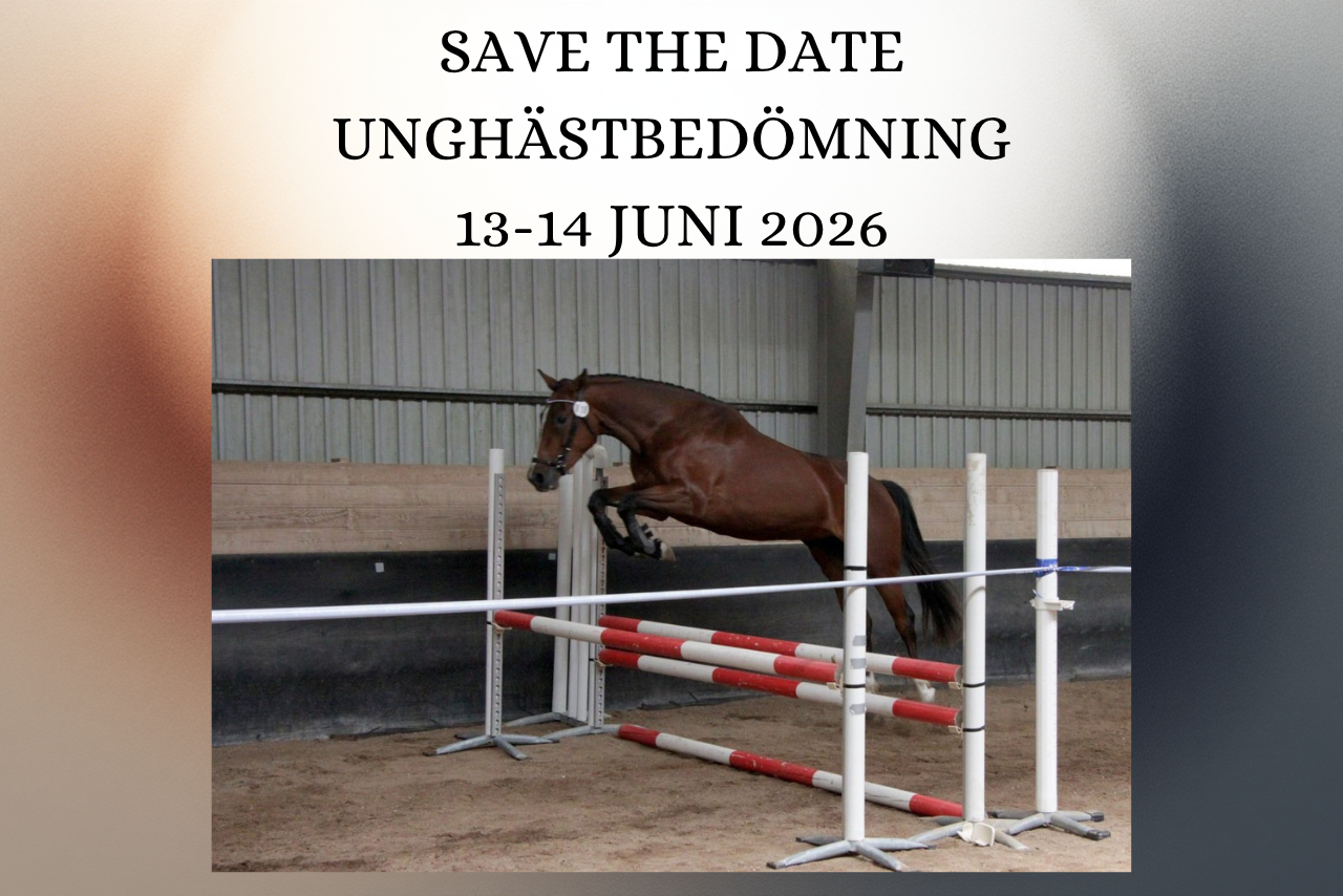 Save the date unghästbedömning + ev clinic (1280 x 854 px)